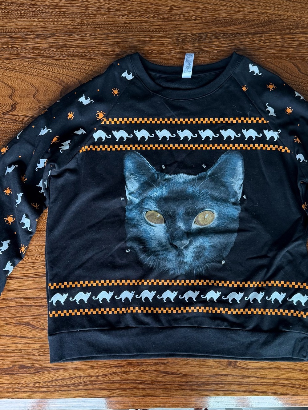 Black Halloween Cat Graphic Sweatshirt with Orange Accents